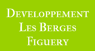 Développement Les Berges Figuery